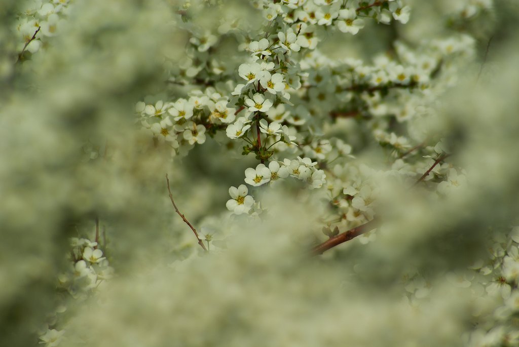 Tokina SD 70-210mm F4-5.6