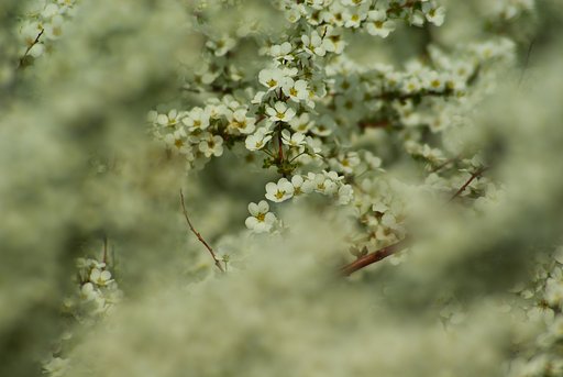 Tokina SD 70-210mm F4-5.6