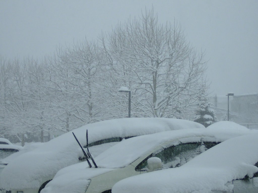 北海道は・・・