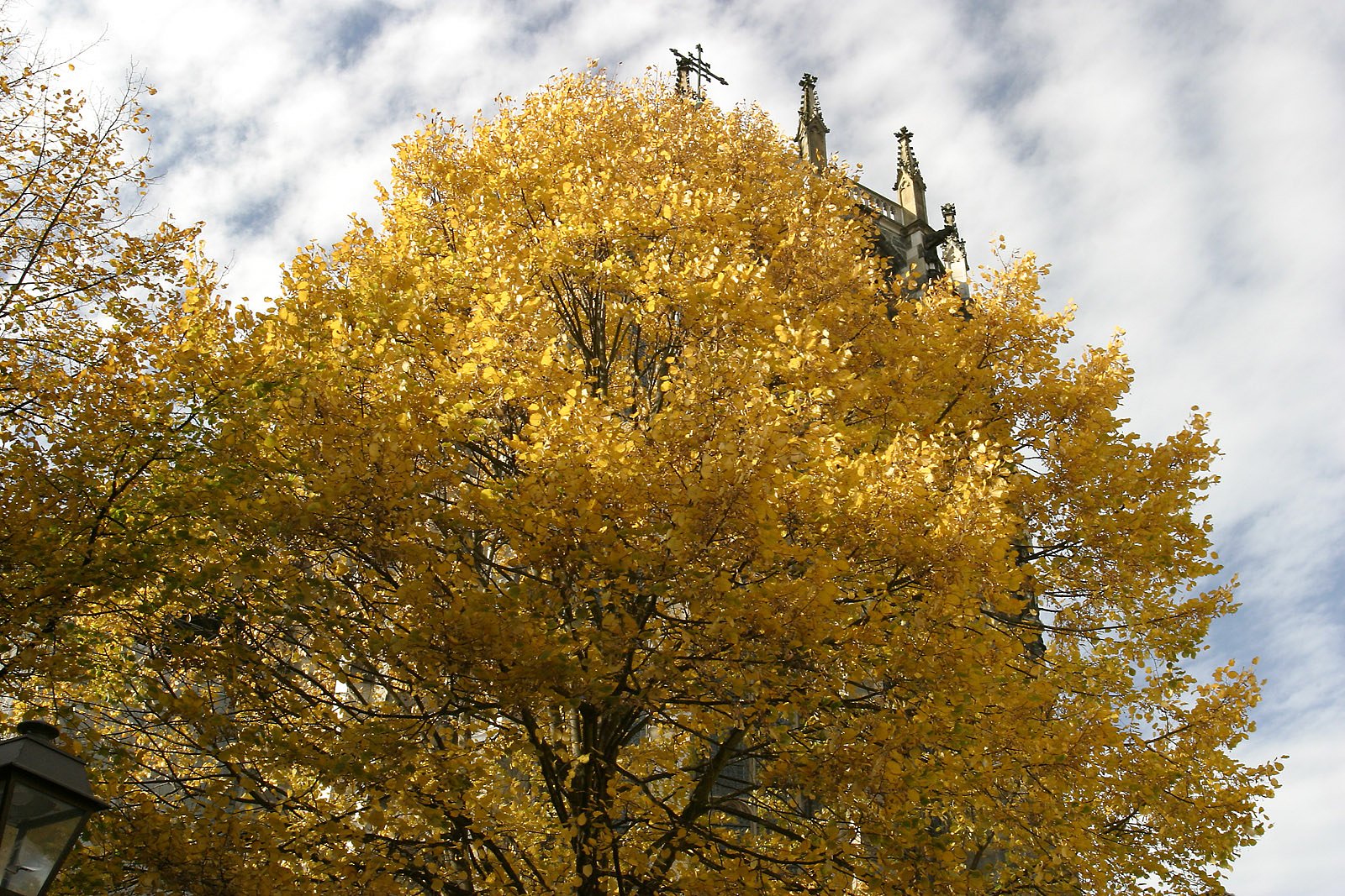 Autumn in Europe.