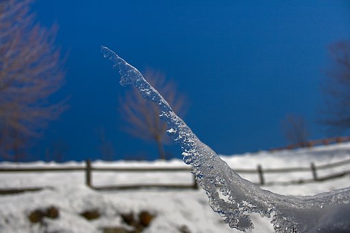 Freeze!!