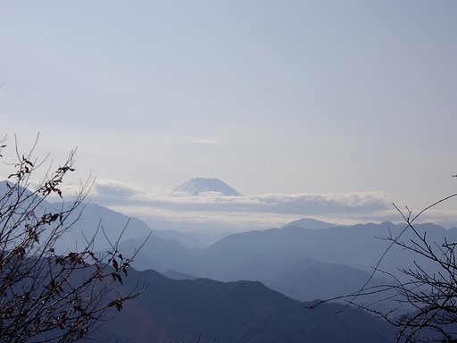 頭を雲の上に出し