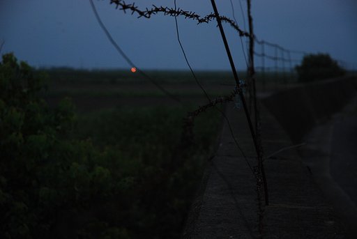 諫早湾干拓