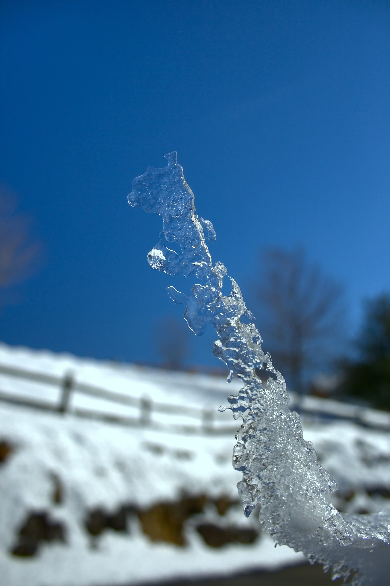 氷龍
