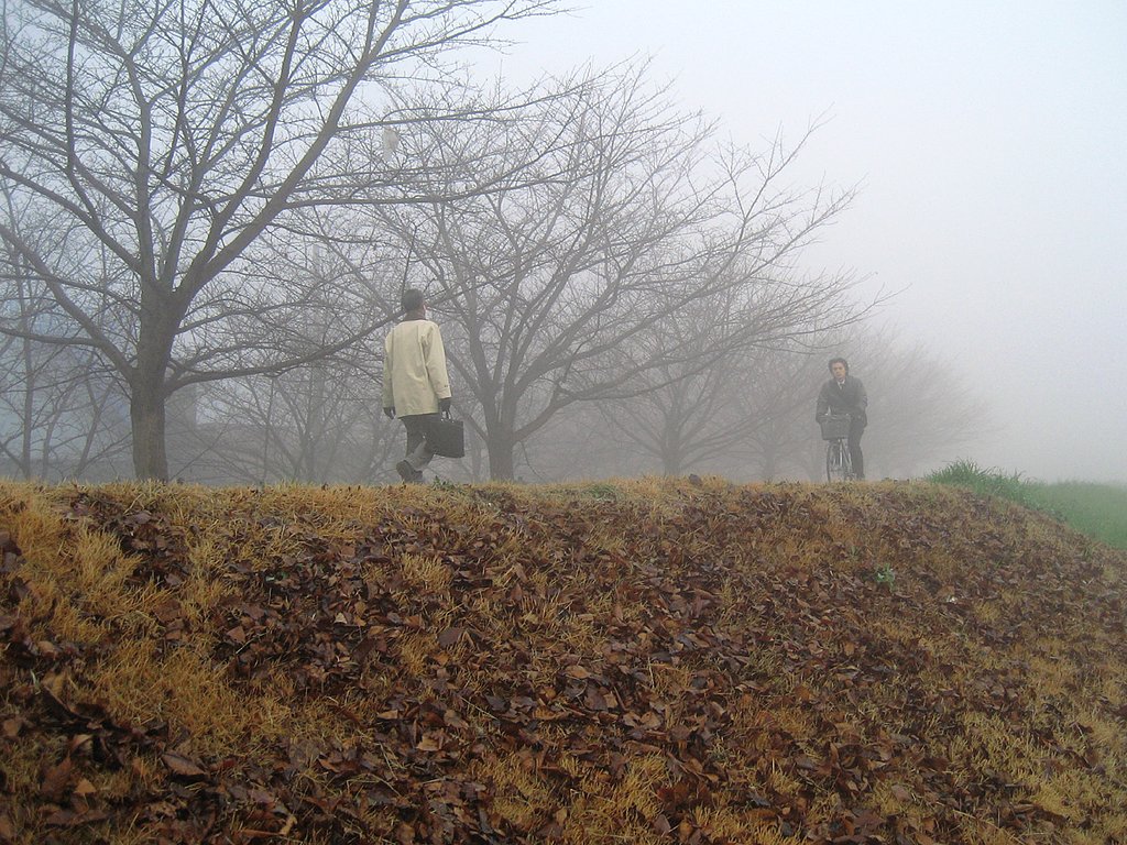 朝霧の春