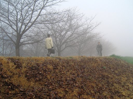 朝霧の春