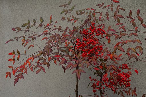 襖絵ではありません