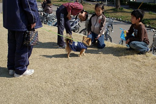 【赤】い犬のマークは