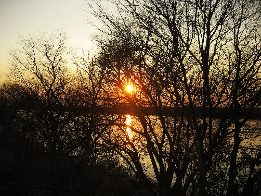 夕暮れ水景