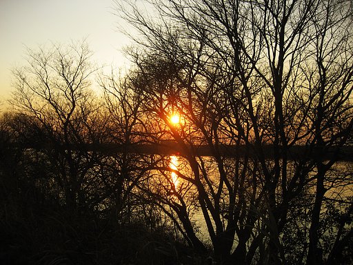 夕暮れ水景
