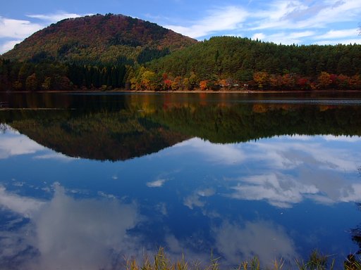 やっと紅葉がみれました