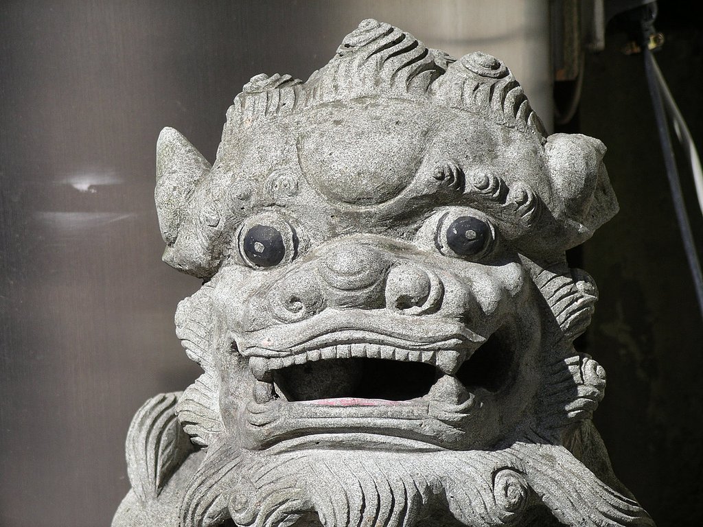 555の虫干し １