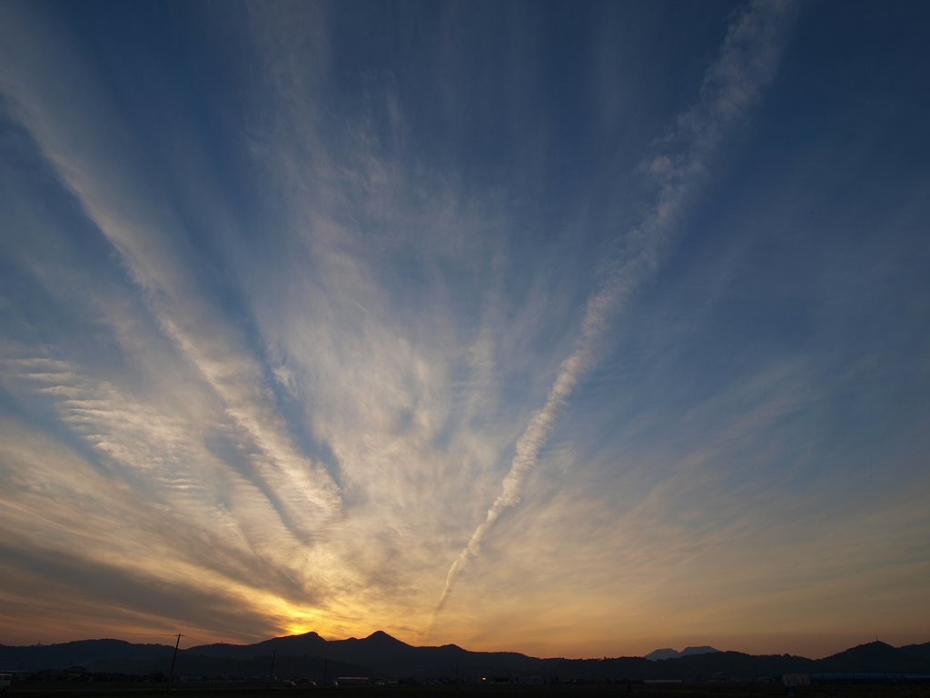 冬の空