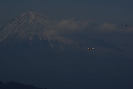 飛行機ブーン！