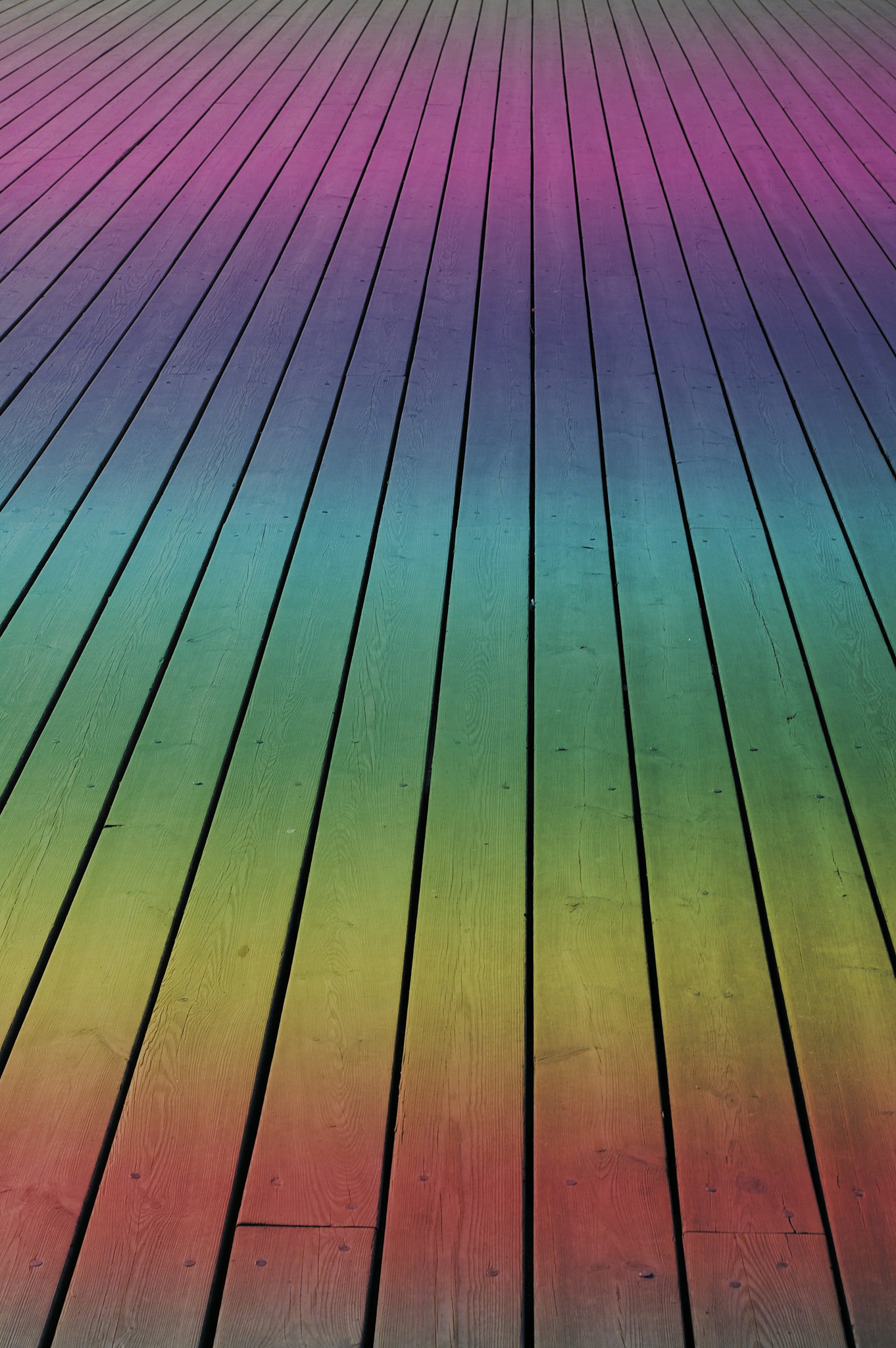 The boards