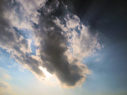 春の予感