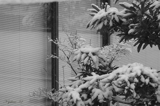 【街】雪