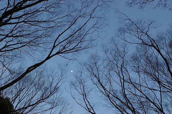 宵空