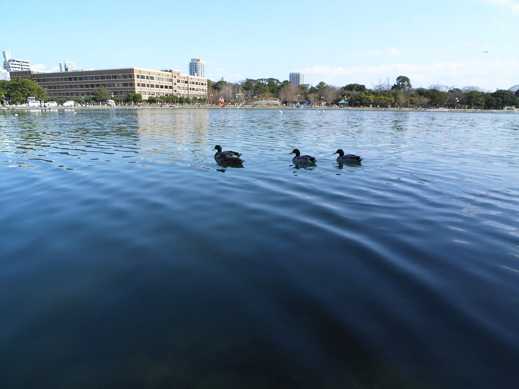 「街」都心の公園