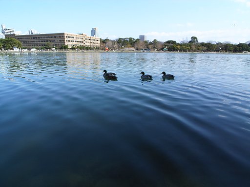 「街」都心の公園