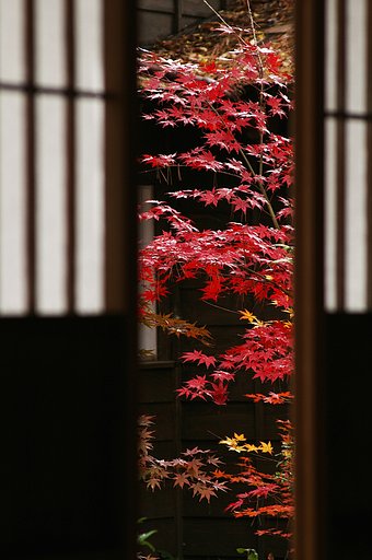 隙景