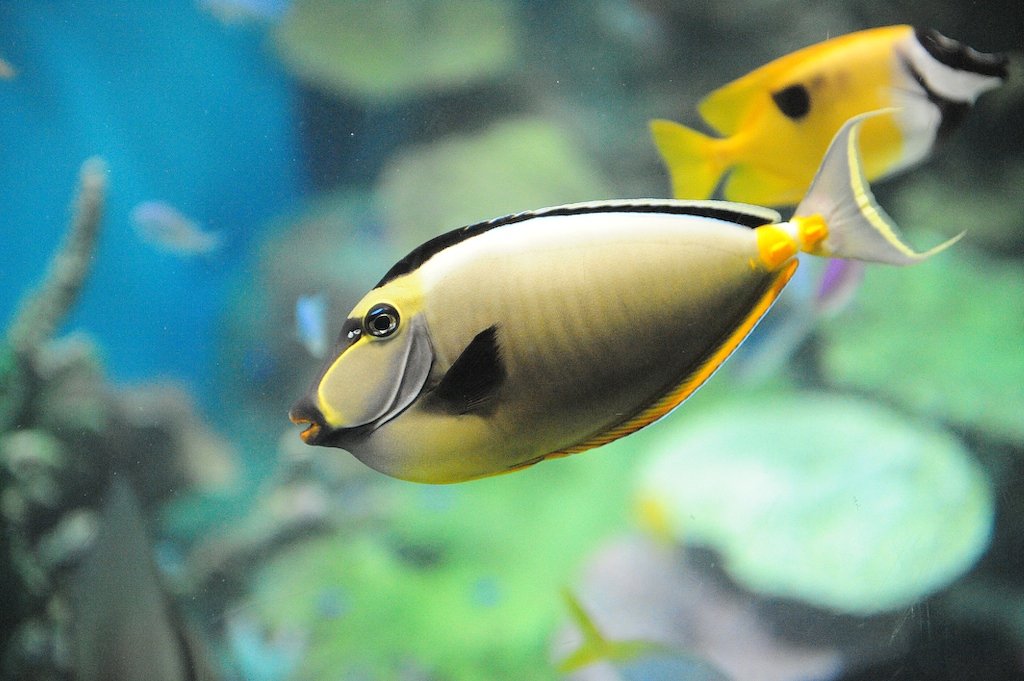 水族館にて