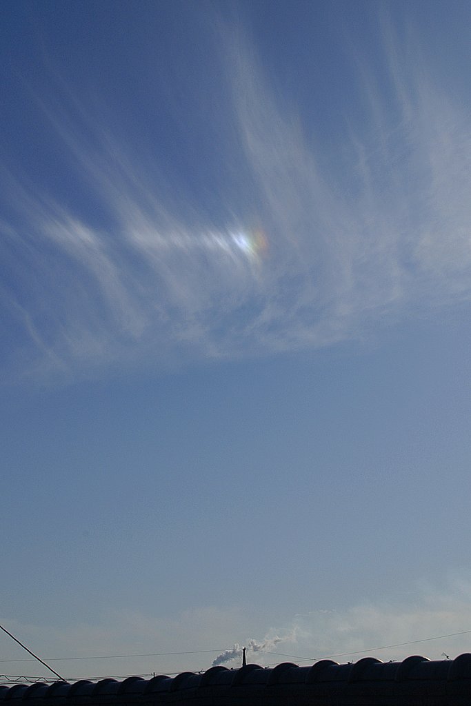 今年最後の好天気