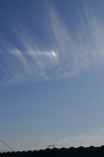 今年最後の好天気