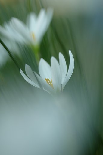 雑踏