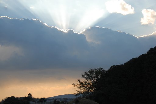 御陵夕景その２