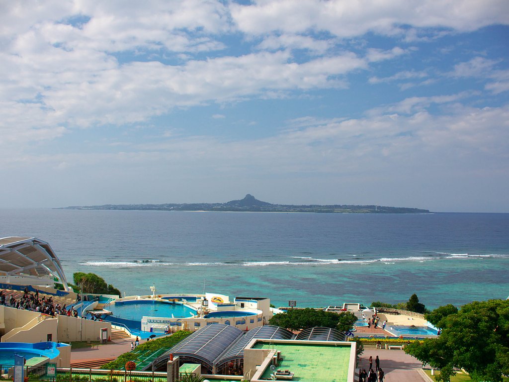 美ら海水族館・・・
