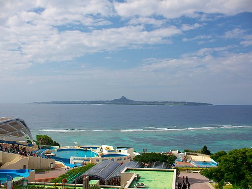 美ら海水族館・・・