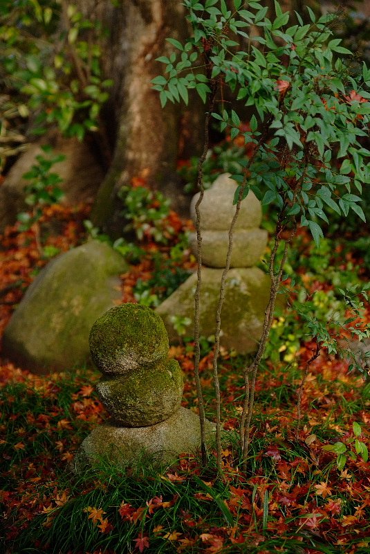 晩秋の古刹