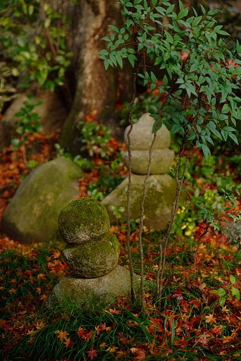 晩秋の古刹