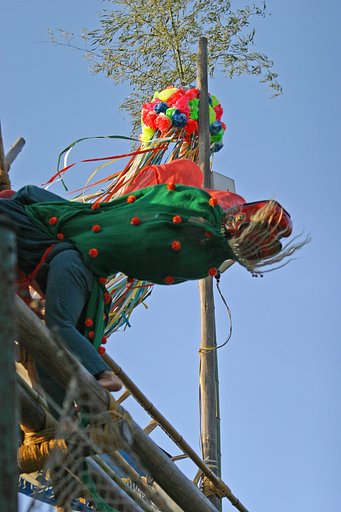 梯子獅子２