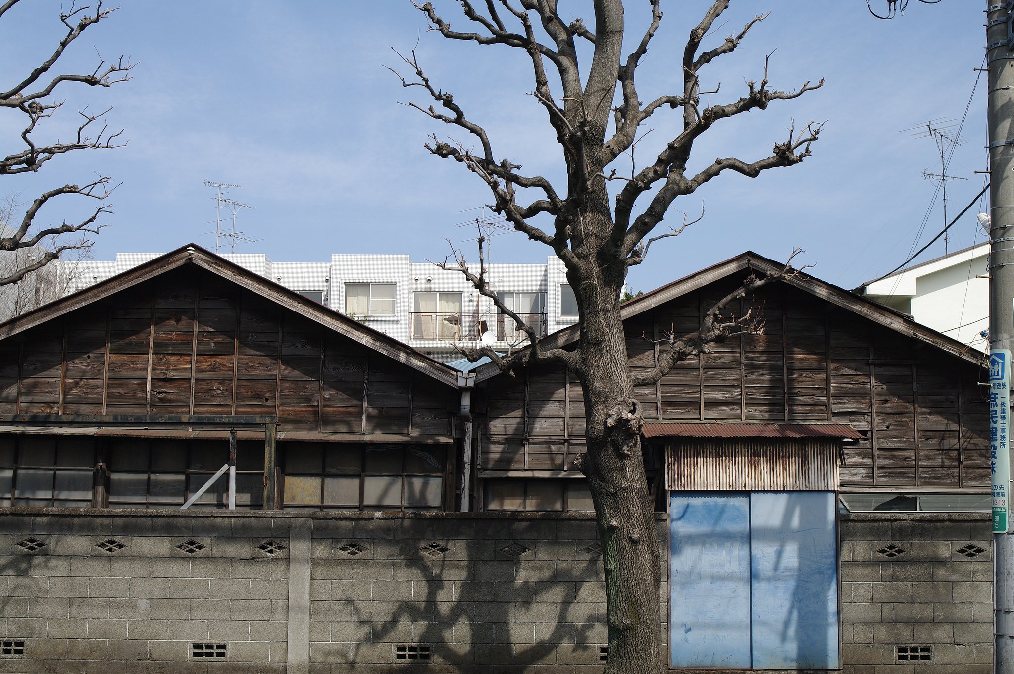 ISO200