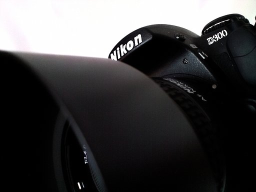 D300