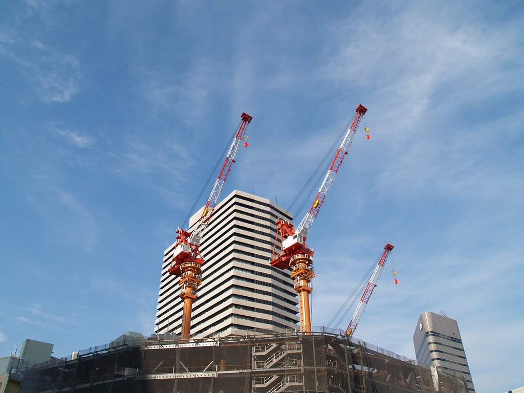 空がすがすがしいから思わずパチリ