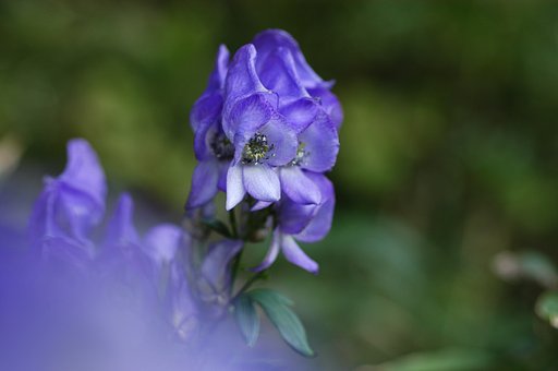 毒があるの？