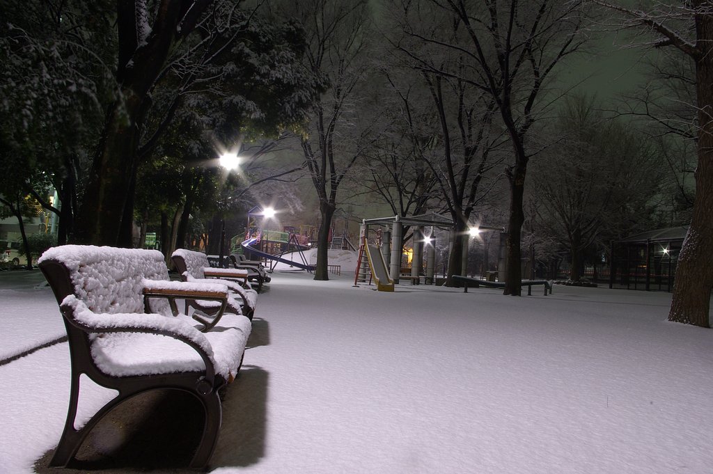またまた雪