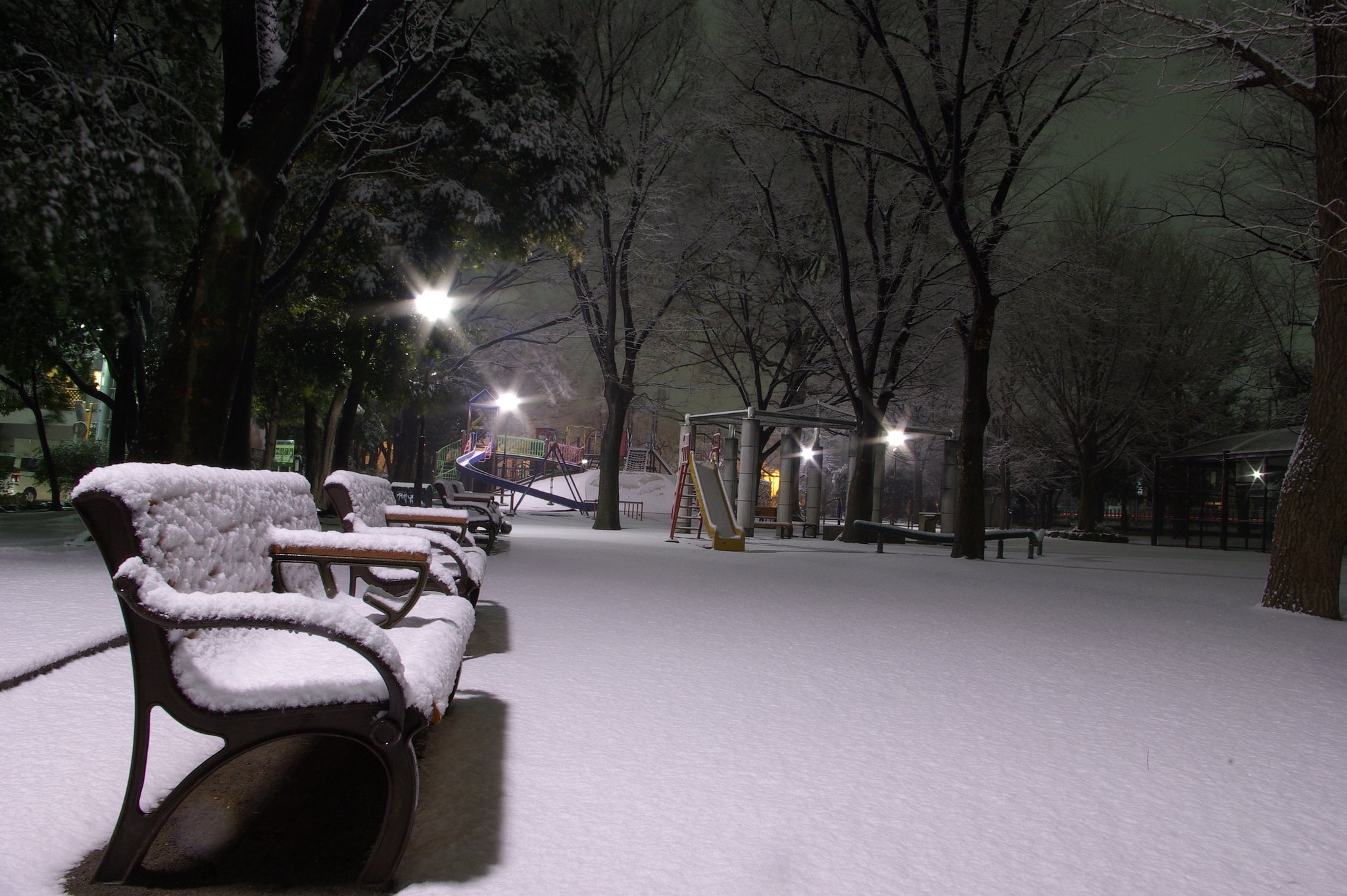 またまた雪