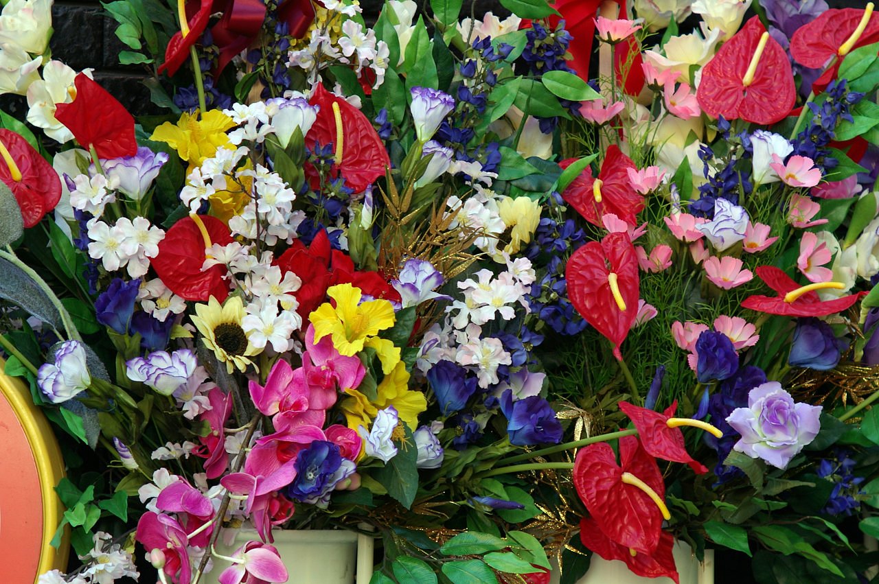{【街】の花