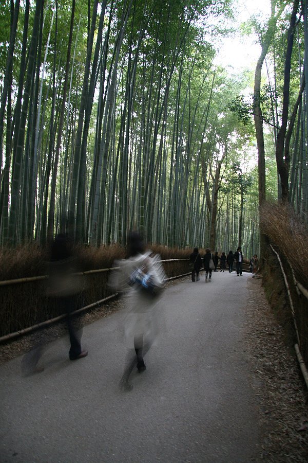 日暮れの小径