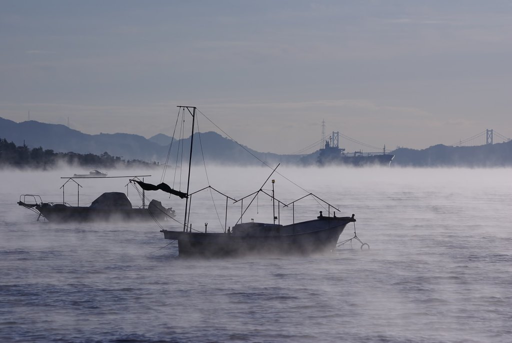 白い海霧