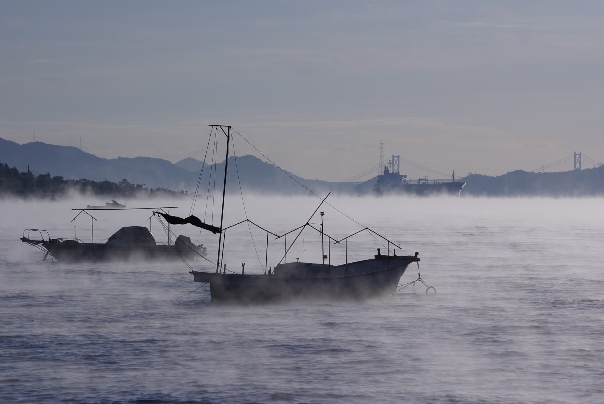 白い海霧