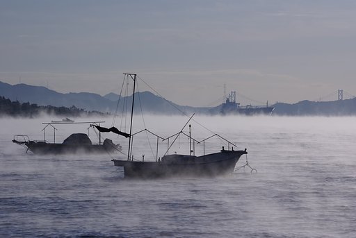 白い海霧