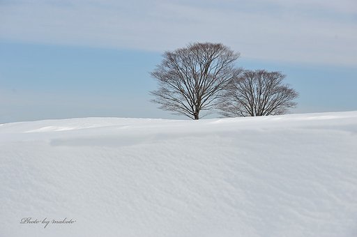 さわやかに冬・・