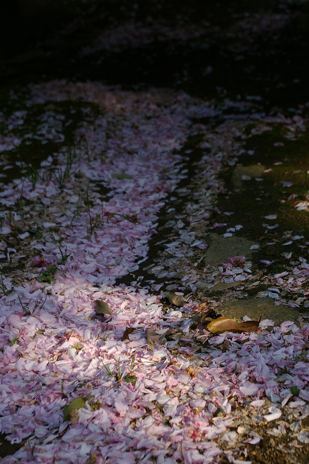 来年もまた会おう・・・。