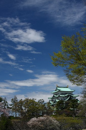 春の名古屋城