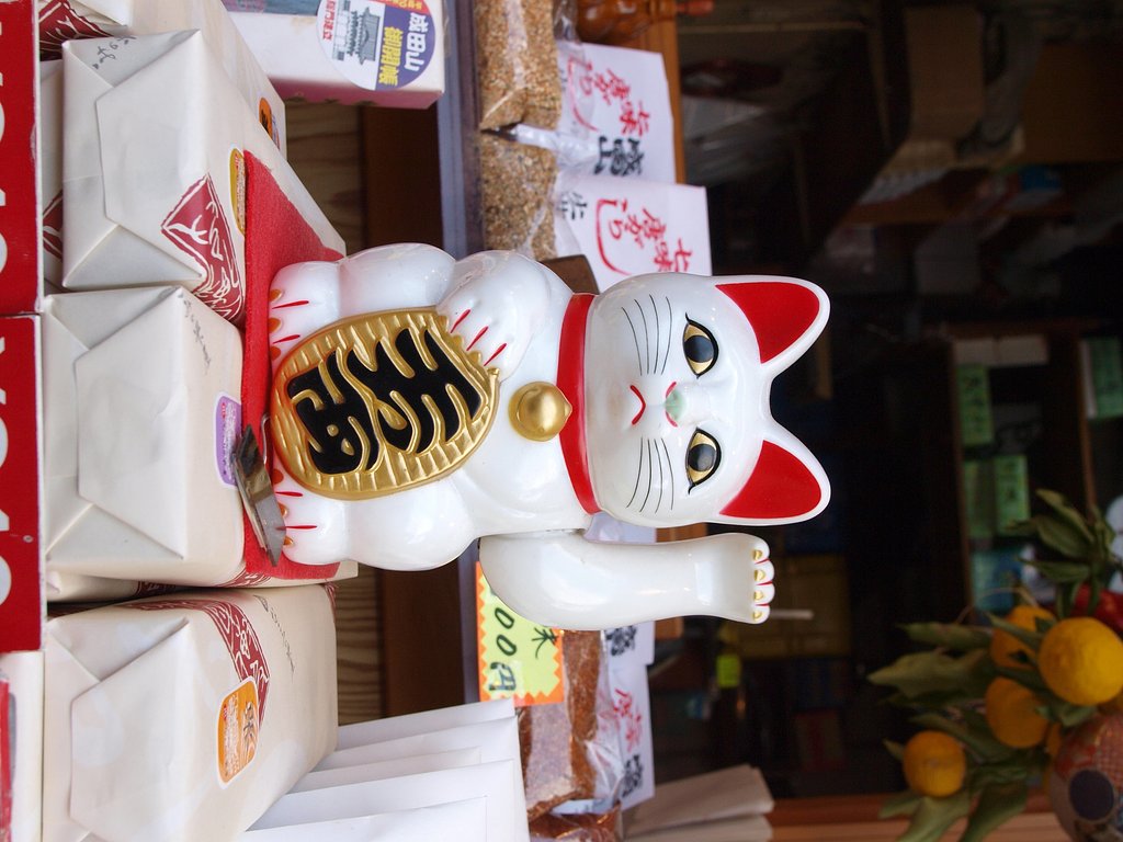 【街】頭の猫